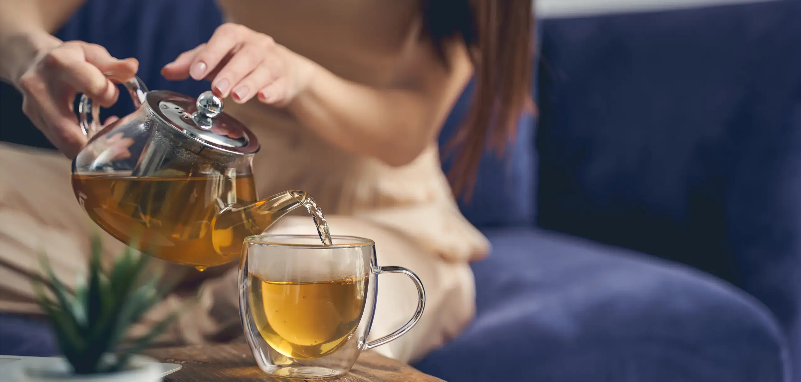 Você sabe para que serve cada um destes 7 chás naturais? Você sabe para que serve cada um destes 7 chás naturais?